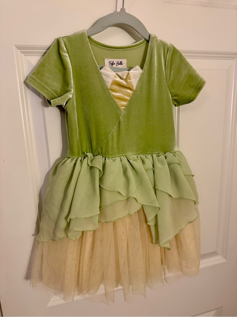 Tutu Cute Green Princess Tiana Dress by Taylor Joelle